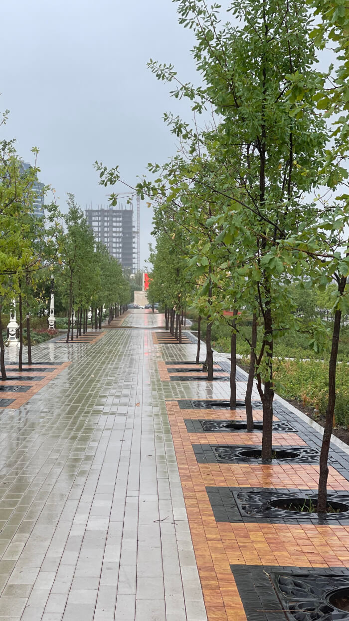 Приствольная решетка для дерева ZKING CRUST 1.2х1.2м Черная в Рязани фото