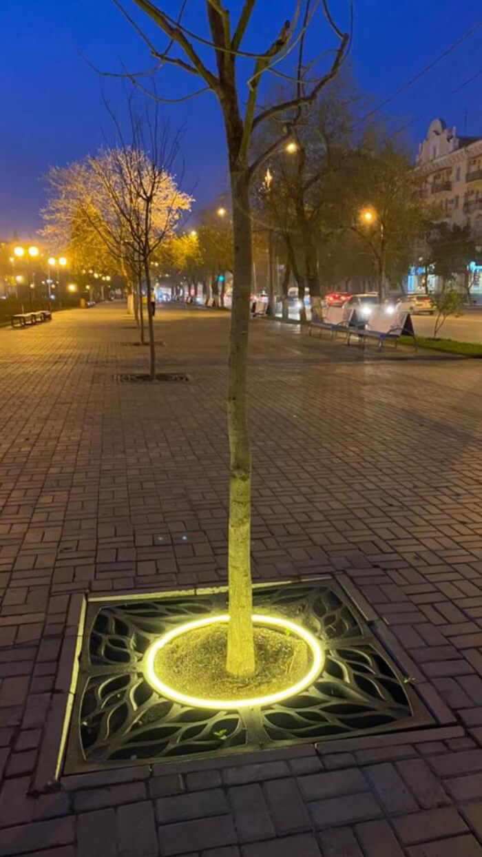 Приствольная решетка для дерева ZKING CRUST 1.2х1.2м Черная в Рязани фото